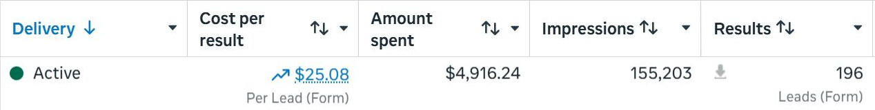 Ads Manager results: 196 leads at $25.08 per lead from $4,915.73 in ad spend